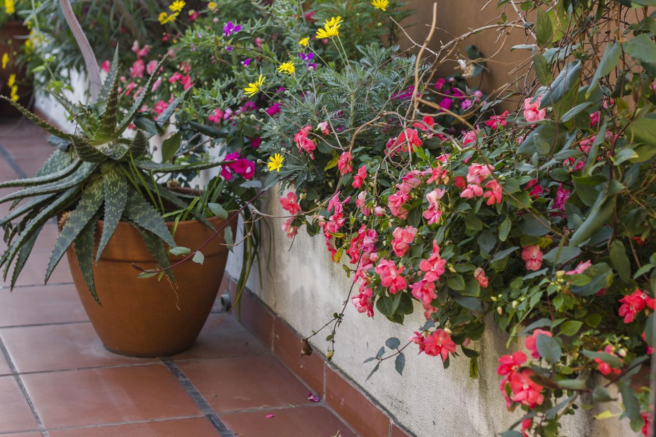 Abode Buenos Aires Bed & Breakfast ภายนอก รูปภาพ